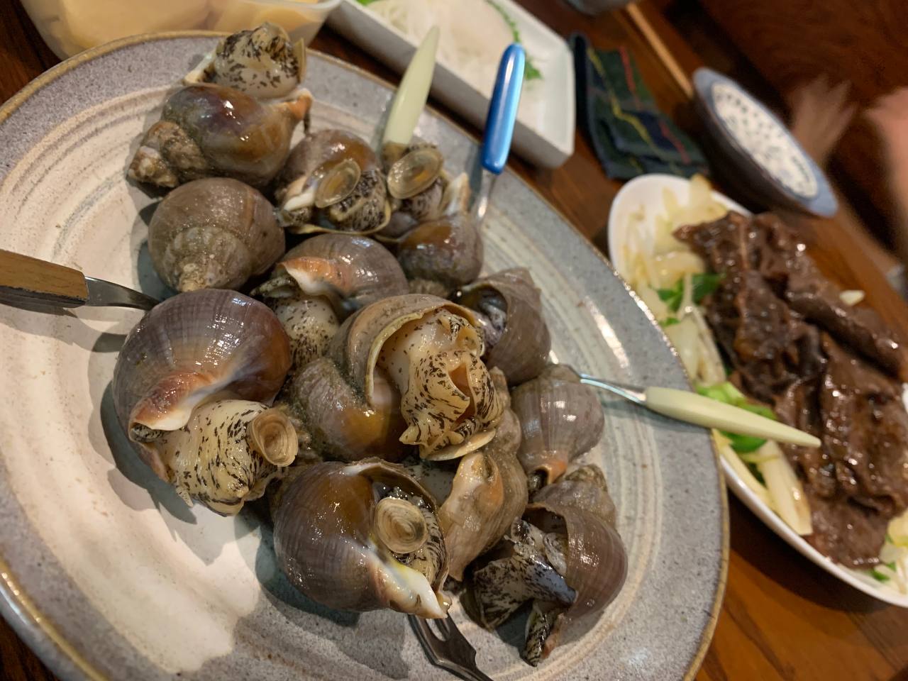 snails